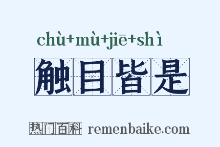 触目皆是是什么意思的图片